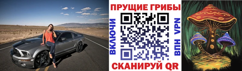 дарк нет формула  Кропоткин  Галлюциногенные грибы мицелий 